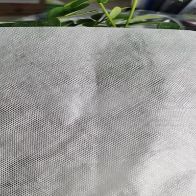 GAOXIN 40um Φόρμα PVA Λύσιμη σε κρύο νερό Μη υφασμένη ταινία για μέση σκληρότητα