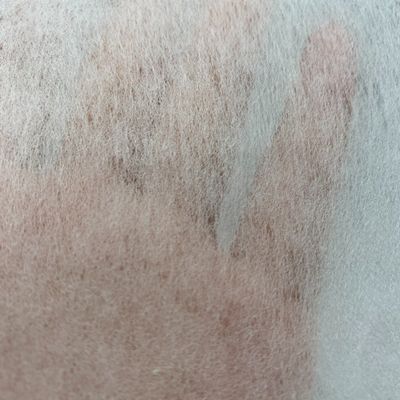 Υφάσματα που δεν είναι υφασμένα, που καλύπτονται με χημικό σύνδεσμο από LDPE, με διπλή/μονή κουκίδα