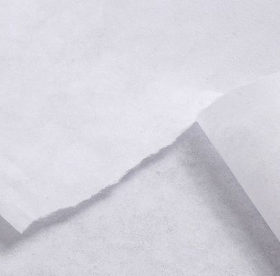 20-80GSM 100% πολυεστέρας διπλής κουκκίδας μη υφαντό ύφασμα διασύνδεσης με σύντηξη